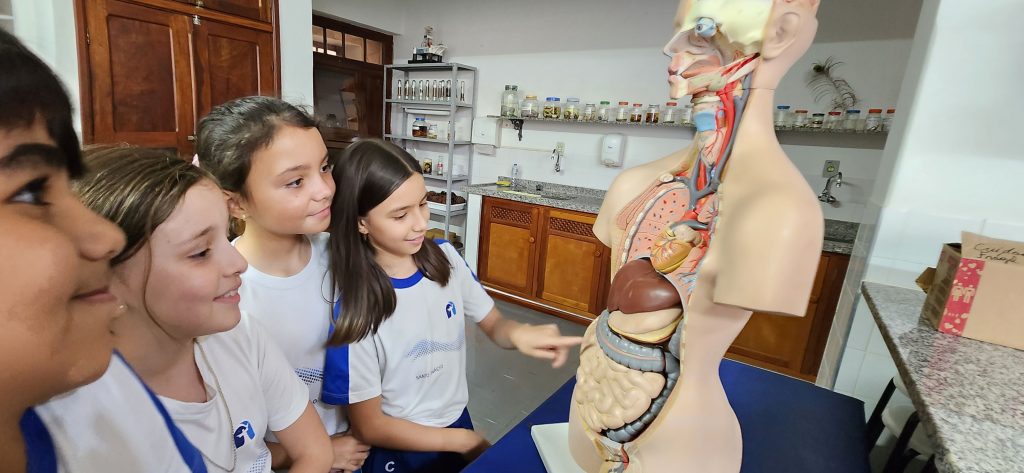 Conhecendo mais sobre o Corpo Humano