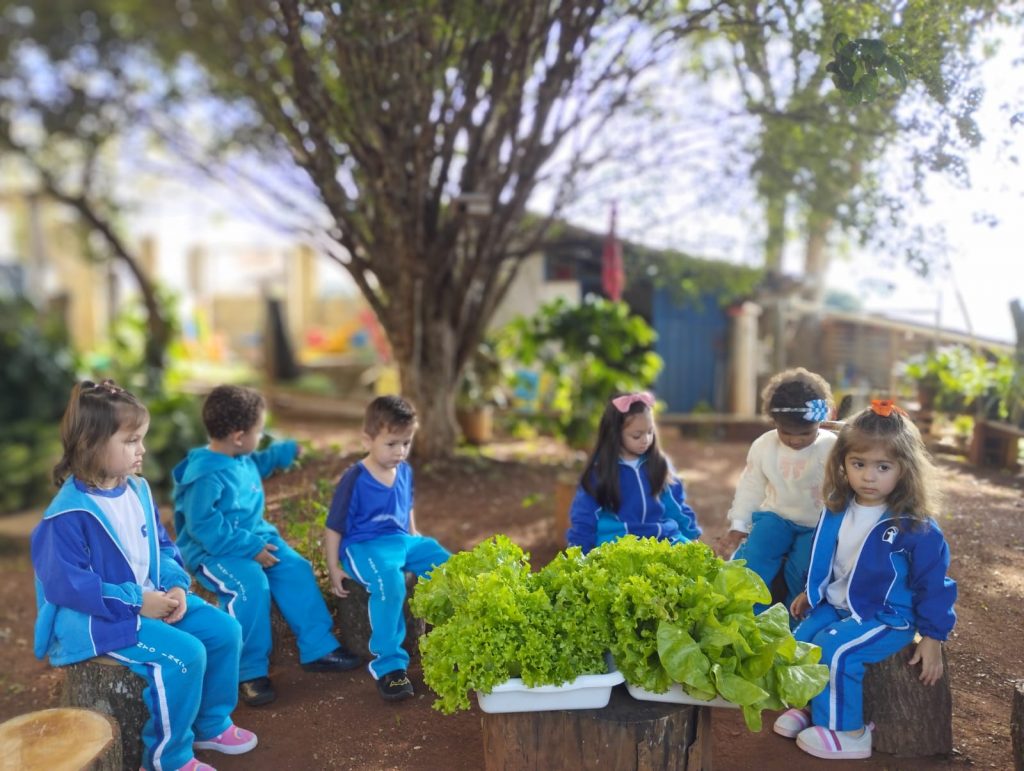 Colheita no Infantil II