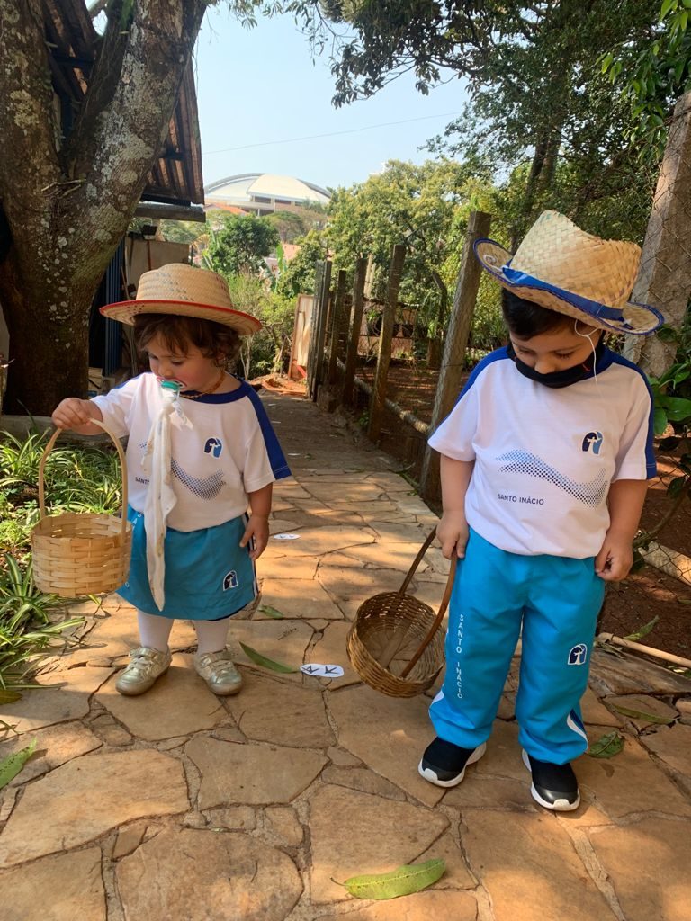 Construindo vivências, aprendizagem através do ciclo da galinha - Infantil I